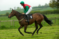 Race 5 - Restricted 4