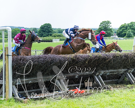 Race 3 - Conditions (219 of 367)
