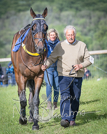 Race 6 - Thorn Plant Hire Maiden Race (9 of 129)