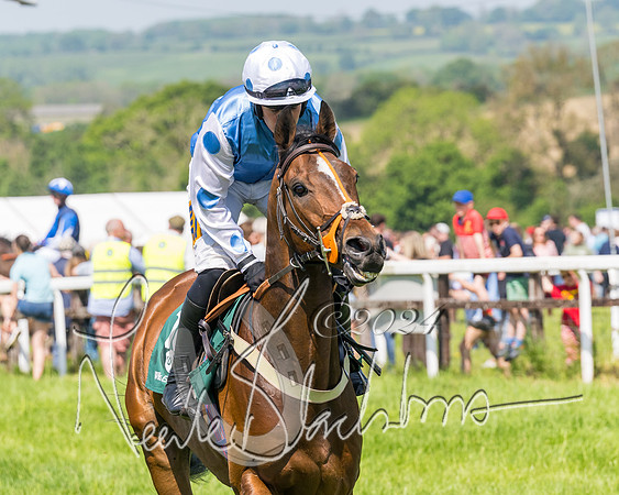 Race 2 - The Maiden  (42 of 442)