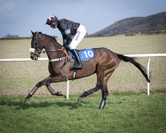Race 3 - The Maiden Conditions (43 of 214)