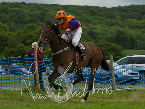 Pony Race - 5