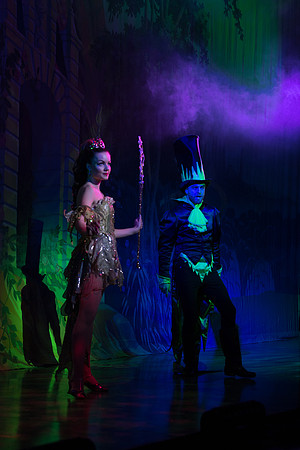 Swan Panto 2017