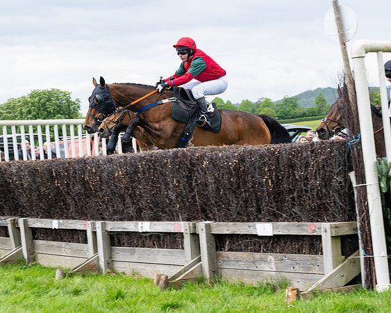 Race 2 - Veteran Horse (12 of 80)
