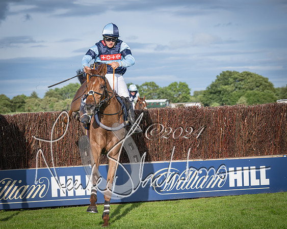 Race 3 - The pointtopoint.co.uk champion novices’ Hunter Chase (121 of 140)