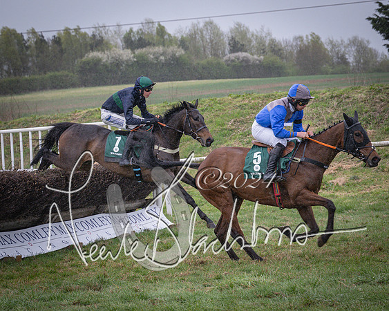 Race 7 - The Jockey Club maiden race for Mares and Fillies only (56 of 96)