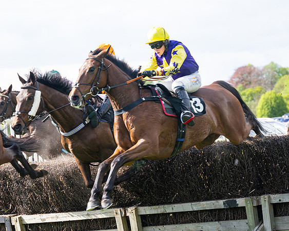 Race 4 -  2M4F Conditions  (62 of 102)