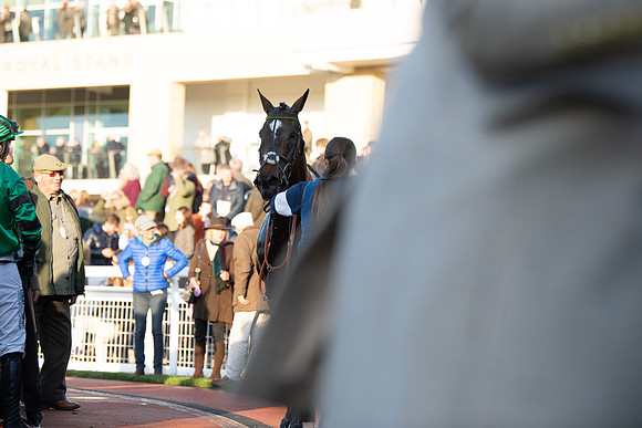 Race 5 - ITM Mares'  (117 of 181)