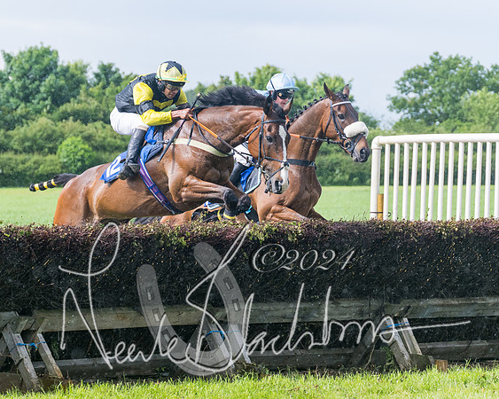 Race 4 - Mixed Open (138 of 591)
