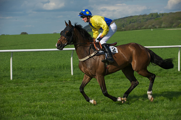 Race 7 -  8
