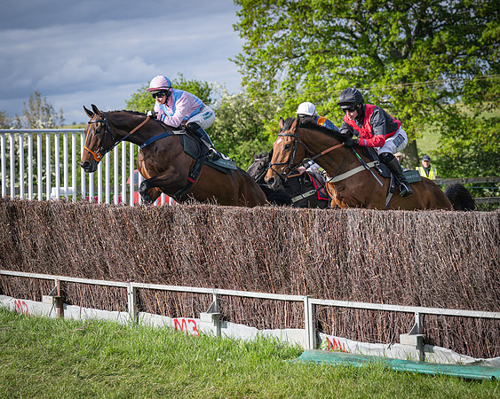 Race 7 - Walnut Hill PPORA club members maiden (6 of 104)