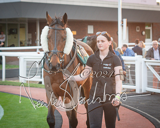 Race - 7 The Royal Gloucester Hussars Open Hunter's steeplechase 2m4f 127y (4 of 210)