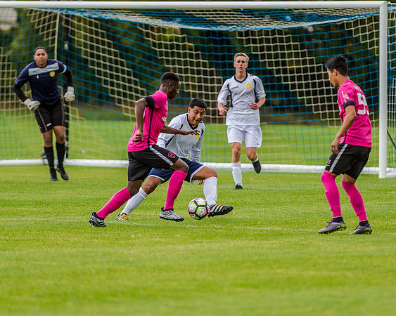 edsv 6-0 191016 (88 of 257)