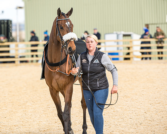 Race 2 - Young Horse Maiden (12 of 104)
