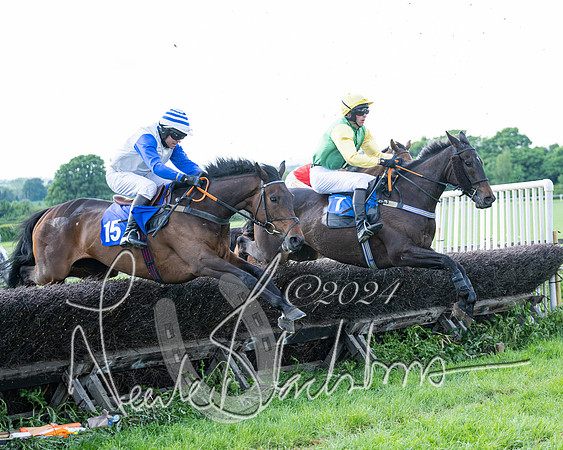 Race 5  - Maiden race 2m5F Div-1 (146 of 197)
