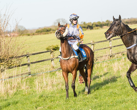 Race 5 - Restricted (7 of 146)