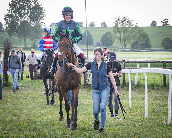 Race 6 - 2m5f Conditions (59 of 70)