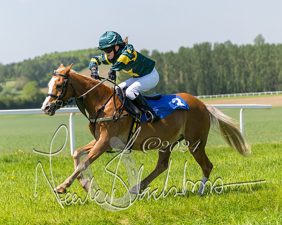 Pony Races  (44 of 141)