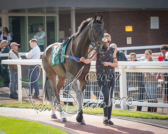Race 1 - The Bottle Green Open Hunters steeplechase 2m62y (1 of 93)