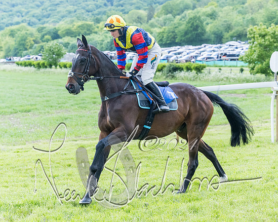 Race 3 - Conditions (79 of 367)