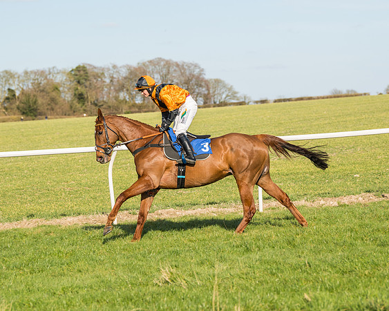 Race 3 - Ladies Open (25 of 156)