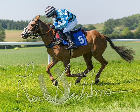 Pony Races  (56 of 141)