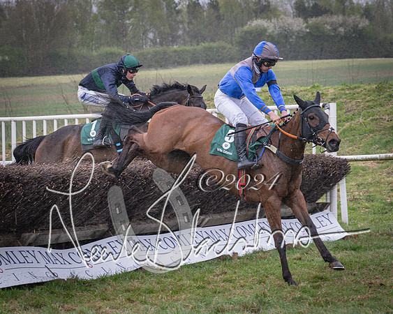Race 7 - The Jockey Club maiden race for Mares and Fillies only (53 of 96)