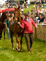 Old Berks at Lockinge Confined Hunts Race
