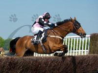 Race 5 - Restricted