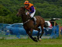 Pony Race