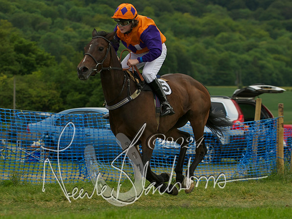 Pony Race - 4