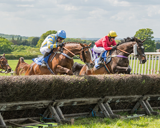 Race 2 - Restricted  (51 of 90)
