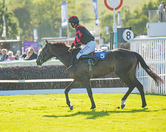 Race 3 - John Corbet Cup (4 of 88)