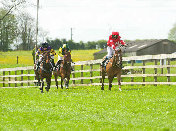 Pony Race - 2    31