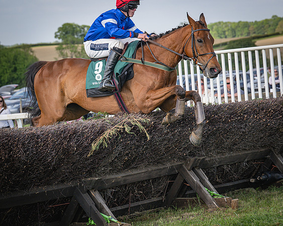 Race 6 - 2m5f Conditions (57 of 70)