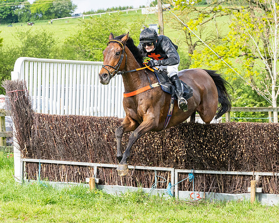 Race 5  - Novice riders (142 of 188)