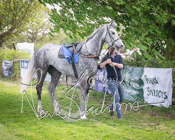 Race 2 - The Elliott of London maiden race (4 of 137)