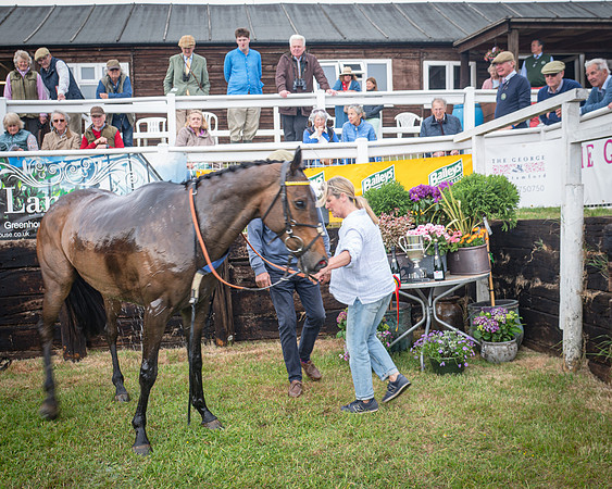 Race 5 - 3 Mile Maiden [NWFAA] (80 of 95)