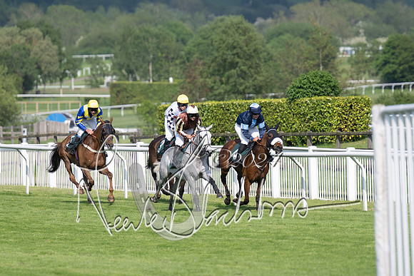 Race 1 - The Bottle Green Open Hunters steeplechase 2m62y (23 of 93)