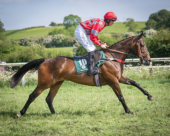 Race 5 - Restricted (33 of 116)