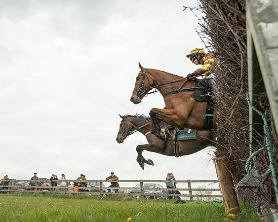 Race 2 - Jockey Club ROR veteran Horse (38 of 104)
