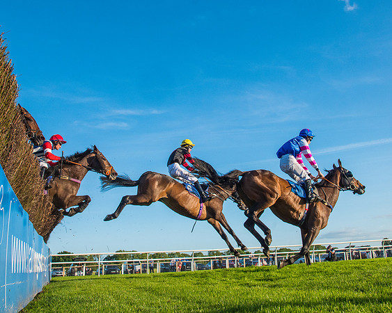 Race 5 - White Swan Hotel Handicap (35 of 80)