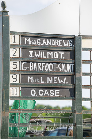 Race 7 - Veteran Horse (2 of 246)