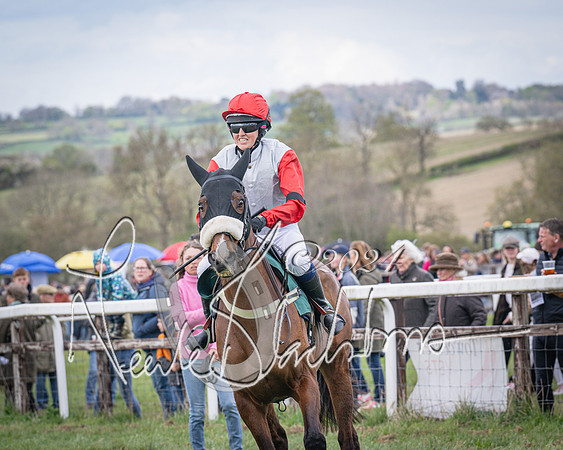 Race 3 - 5 years old and Over Maiden Race (23 of 130)