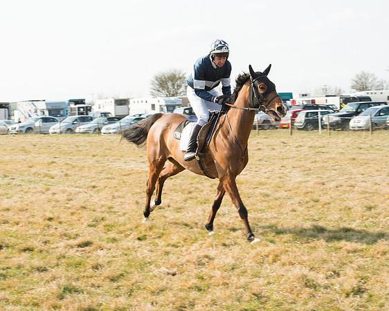 Race 2 - Open Maiden (5 of 101).jpg
