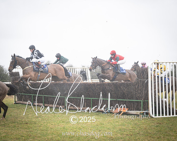 Race 2 - Restricted (9 of 70)-Enhanced-NR