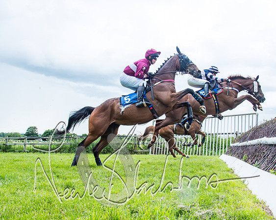 Race 3 - Conditions (212 of 367)