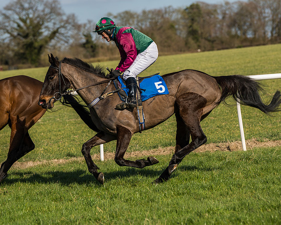 Race 1 - Open Maiden Division 2 (20 of 173)