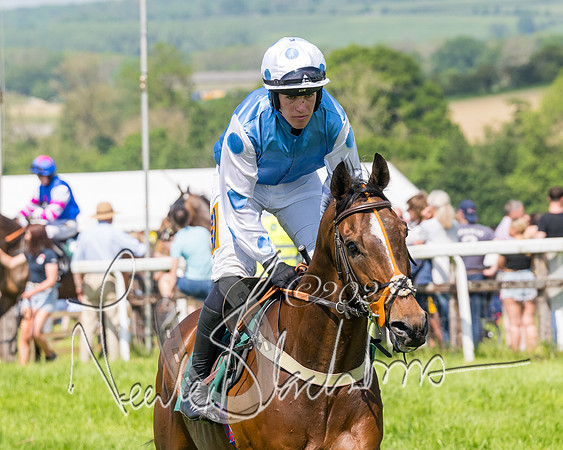 Race 2 - The Maiden  (39 of 442)