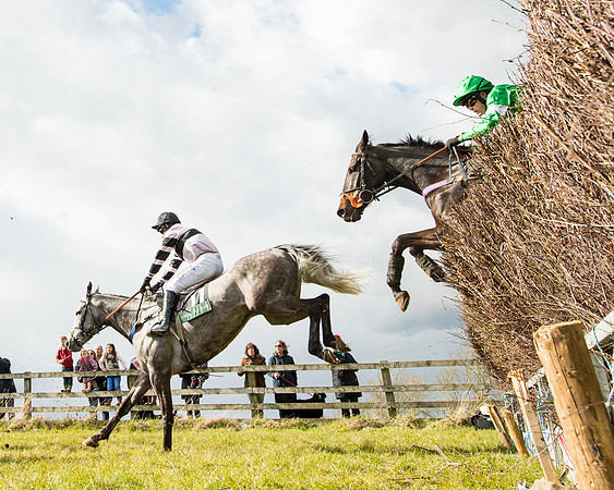 Race 5 - Restricted  (43 of 118)